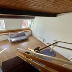  appartement avec 1 chambre(s) en location à Toulouse