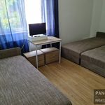 Rent 1 bedroom apartment of 13 m² in Győr