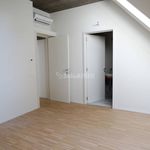 Affitto 5 camera appartamento di 210 m² in Gallarate