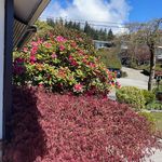 Rent 1 bedroom house in West Vancouver