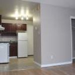 Rent 1 bedroom apartment of 30 m² in Edmonton