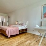 Rent a room of 26 m² in Berlin