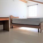 Rent 3 bedroom house of 100 m² in Catanzaro