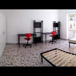 Affitto 3 camera appartamento di 55 m² in Roma