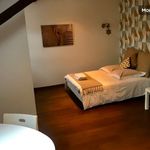 Rent 2 bedroom apartment of 130 m² in Nancy