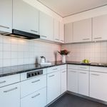 Rent 5 bedroom apartment of 110 m² in Dietikon