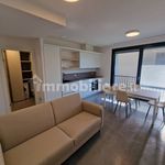 Rent 2 bedroom apartment of 60 m² in Mantova
