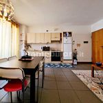 Rent 3 bedroom apartment of 80 m² in Este