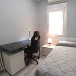 Rent 6 bedroom apartment in Santander