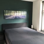 Huur 1 slaapkamer appartement van 42 m² in Arnhem