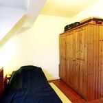 Rent a room of 300 m² in Schaerbeek