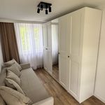 Rent 2 bedroom apartment of 36 m² in Chorzów