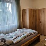 Rent 3 bedroom apartment of 70 m² in Deutsch-Wagram
