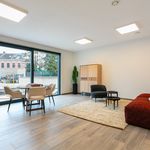 Appartement de 17 m² avec 1 chambre(s) en location à Kapellen