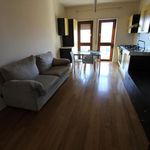 Affitto 2 camera appartamento di 90 m² in Cosenza