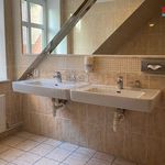 Rent 1 bedroom apartment of 30 m² in Pilsen