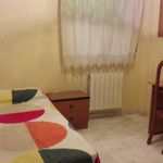 Rent a room in Jaén