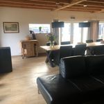 Rent 1 bedroom house of 80 m² in Biezenmortel