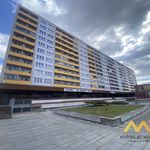Rent 1 bedroom apartment of 30 m² in Hradec Králové