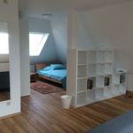 Rent 1 bedroom apartment of 75 m² in Mannheim