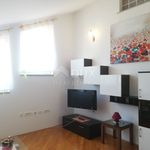 Najam 4 spavaće sobe stan od 85 m² u Rijeka
