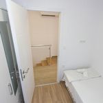 Najam 4 spavaće sobe kuća od 100 m² u Brašina