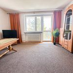Rent 2 bedroom apartment of 51 m² in Chełm