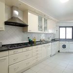 Rent a room of 300 m² in lisbon