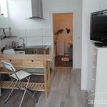 Rent 2 bedroom apartment of 49 m² in Braunschweig