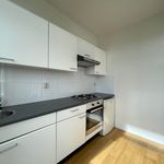 Rent 2 bedroom apartment of 90 m² in Schiedam
