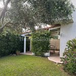 Rent 5 bedroom house of 100 m² in Tarquinia