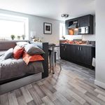 Rent 5 bedroom student apartment of 28 m² in Bristol