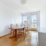 Rent 4 bedroom apartment of 113 m² in Śródmieście