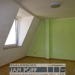 Rent 2 bedroom apartment of 53 m² in Greiz