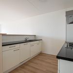 Rent 4 bedroom apartment of 116 m² in Gorinchem