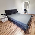 Rent 2 bedroom apartment of 34 m² in Kielce