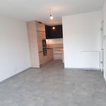 Rent 2 bedroom apartment of 30 m² in Namur
