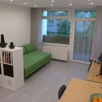 Miete 1 Schlafzimmer wohnung von 32 m² in Heidelberg
