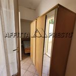 Affitto 2 camera appartamento di 40 m² in Vittorio Veneto