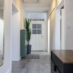 Rent 3 bedroom apartment of 100 m² in Wiesbaden