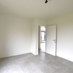 Rent 1 bedroom apartment in Putte