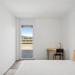 Rent a room of 67 m² in Graz
