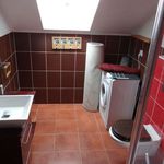 Rent 4 bedroom apartment of 70 m² in Lublin