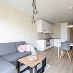 Rent 1 bedroom apartment of 48 m² in Warszawa