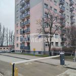 Wynajmij 2 sypialnię apartament z 45 m² w Płock