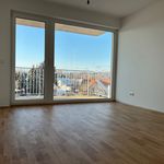 Rent 2 bedroom apartment of 44 m² in Lieboch
