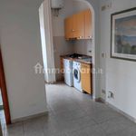 Rent 2 bedroom apartment of 30 m² in Turin