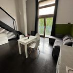 Pronajměte si 1 ložnic/e byt o rozloze 44 m² v Praha