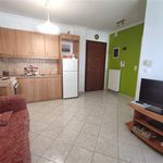 Rent 1 bedroom apartment of 44 m² in Oropos