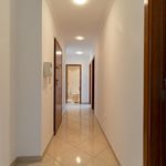 Rent 2 bedroom apartment of 75 m² in Entroncamento